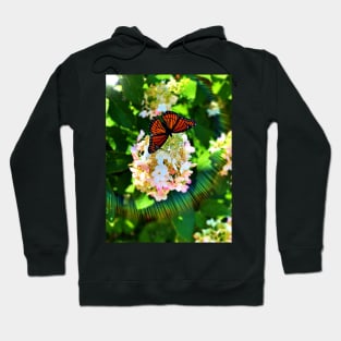 Butterfly Hoodie